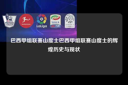 巴西甲组联赛山度士巴西甲组联赛山度士的辉煌历史与现状第1张-五大联赛直播