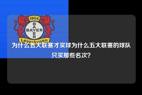 为什么五大联赛才买球为什么五大联赛的球队只买那些名次？第1张-五大联赛直播