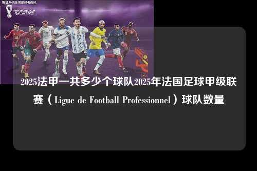 2025法甲一共多少个球队2025年法国足球甲级联赛（Ligue de Football Professionnel）球队数量第1张-五大联赛直播