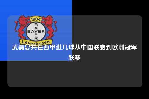 武磊总共在西甲进几球从中国联赛到欧洲冠军联赛第1张-五大联赛直播