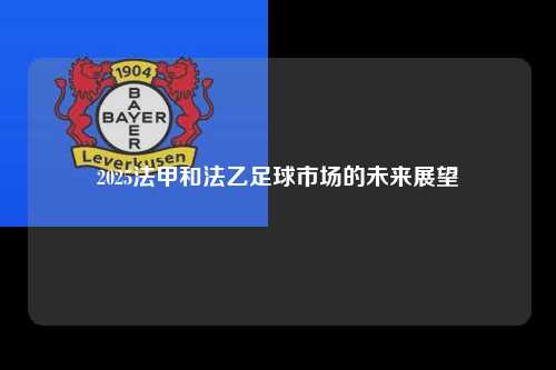 2025法甲和法乙足球市场的未来展望第1张-五大联赛直播