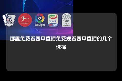 哪里免费看西甲直播免费观看西甲直播的几个选择第1张-五大联赛直播