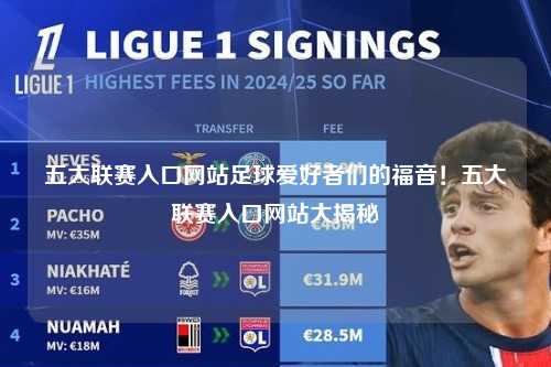 五大联赛入口网站足球爱好者们的福音！五大联赛入口网站大揭秘第1张-五大联赛直播