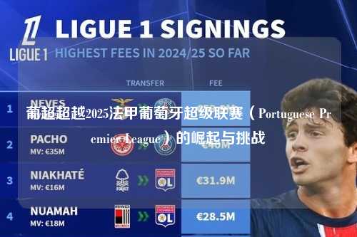 葡超超越2025法甲葡萄牙超级联赛（Portuguese Premier League）的崛起与挑战第1张-五大联赛直播