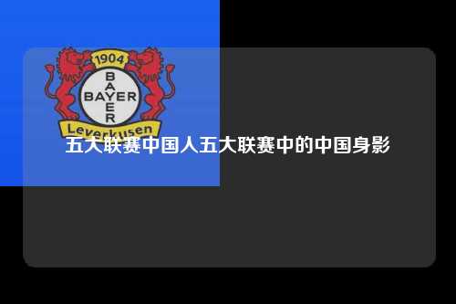 五大联赛中国人五大联赛中的中国身影第1张-五大联赛直播