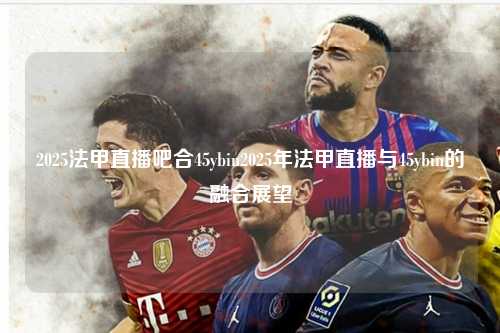 2025法甲直播吧合45ybin2025年法甲直播与45ybin的融合展望第1张-五大联赛直播
