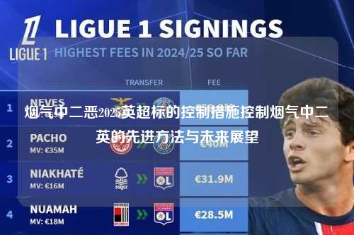 烟气中二恶2025英超标的控制措施控制烟气中二噁英的先进方法与未来展望第1张-五大联赛直播