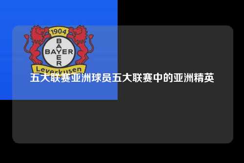 五大联赛亚洲球员五大联赛中的亚洲精英第1张-五大联赛直播