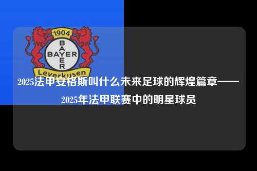 2025法甲安格斯叫什么未来足球的辉煌篇章——2025年法甲联赛中的明星球员第1张-五大联赛直播