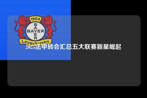 2025法甲转会汇总五大联赛新星崛起第1张-五大联赛直播