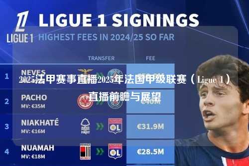 2025法甲赛事直播2025年法国甲级联赛（Ligue 1）直播前瞻与展望第1张-五大联赛直播