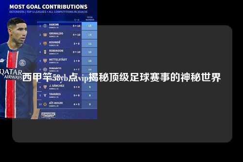 西甲竿58yb点vip揭秘顶级足球赛事的神秘世界第1张-五大联赛直播
