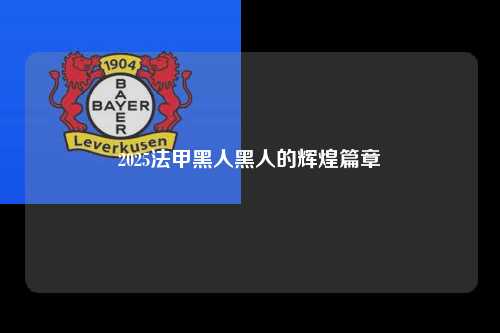2025法甲黑人黑人的辉煌篇章第1张-五大联赛直播