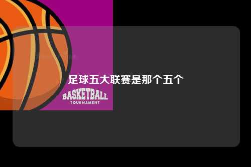 足球五大联赛是那个五个第1张-五大联赛直播