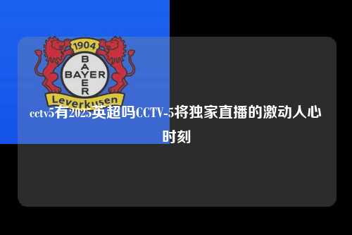 cctv5有2025英超吗CCTV-5将独家直播的激动人心时刻第1张-五大联赛直播