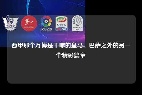 西甲那个万博是干嘛的皇马、巴萨之外的另一个精彩篇章第1张-五大联赛直播