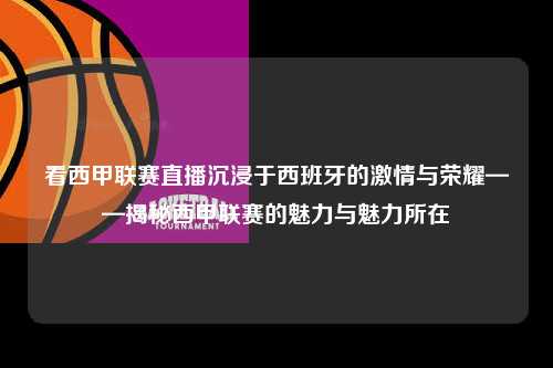 看西甲联赛直播沉浸于西班牙的激情与荣耀——揭秘西甲联赛的魅力与魅力所在第1张-五大联赛直播